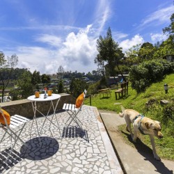 Yercaud Hill Station Weekend Tour 2N/3D